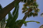 sejour_05.jpg