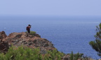 sentier12ter.jpg