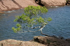 sentier17.JPG