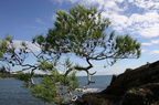 sentier18.JPG