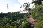 sentier25.JPG