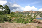 sentier23.JPG