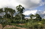 sentier24.JPG