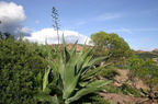 sentier27.JPG