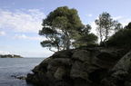 sentier30.JPG