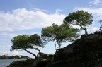 sentier29.JPG