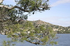 sentier34.JPG