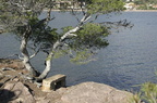 sentier33.JPG