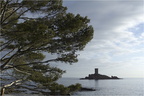 ile_dor01.jpg