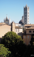 Cathédrale de Sienne - Duomo di Siena