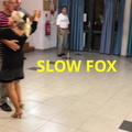 SLOW FOX